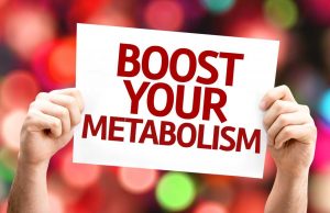 metabolismo