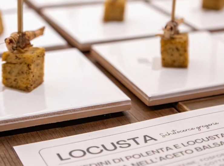 entonote locusta - ifood.it