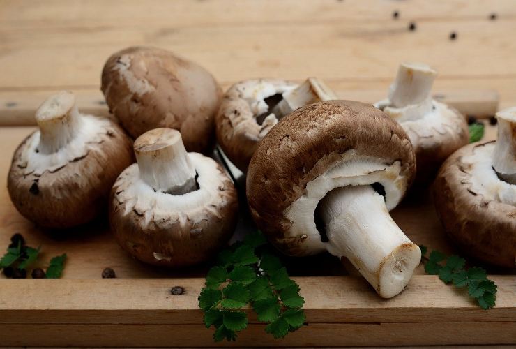 Funghi che non vanno mangiati