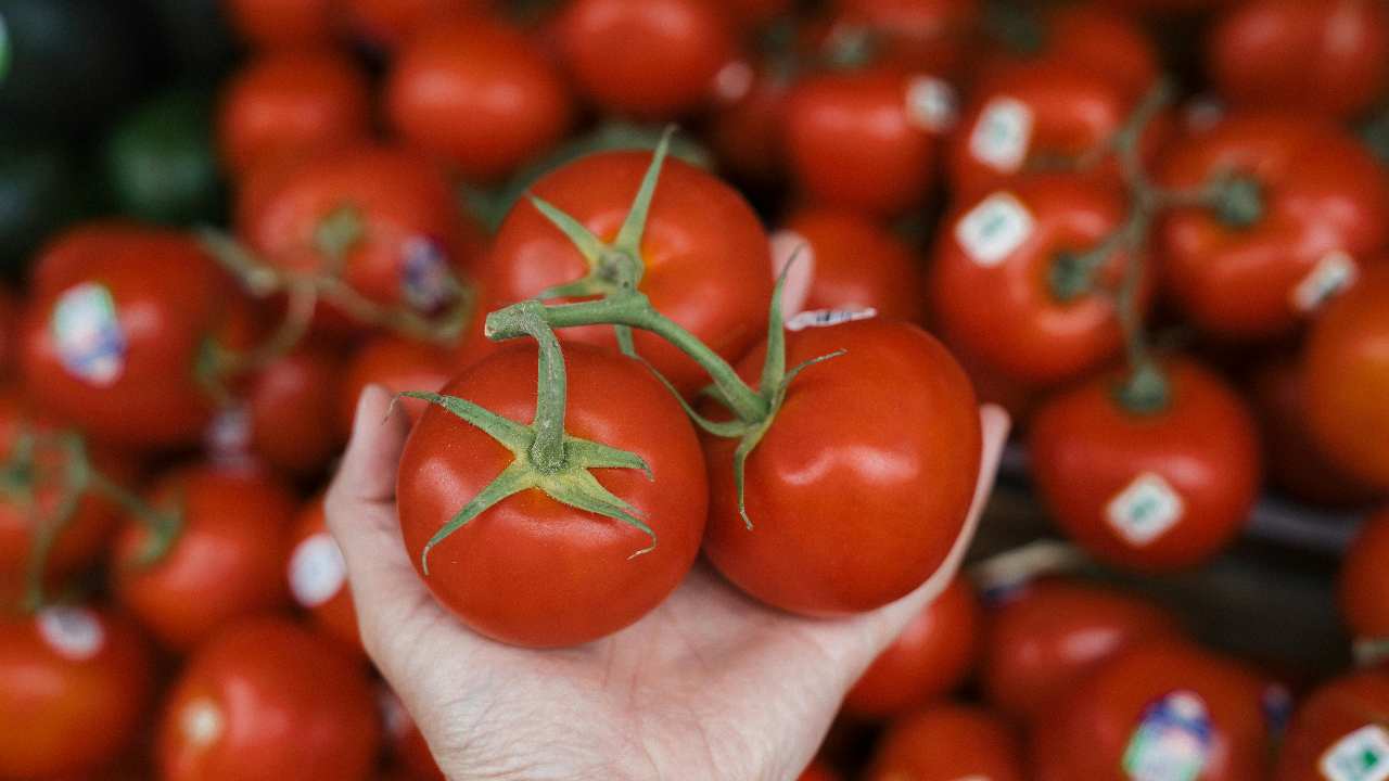 pomodori gratinati- ricetta- ifood.it