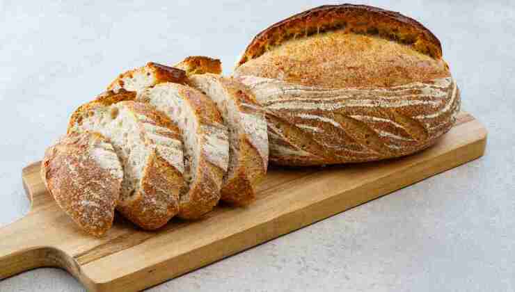 Le alternative al pane con lievito - Ifood.it - 20241121