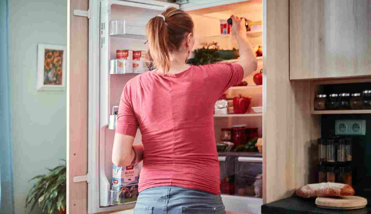 Sposta il frigo per risparmiare un sacco di soldi – Food.it (Fonte foto Canva)