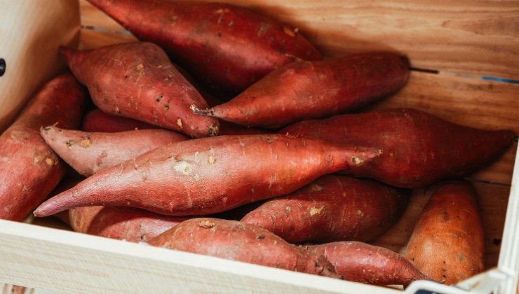 Gli effetti negativi delle patate dolci sull'organismo - iFood.it - 20241216