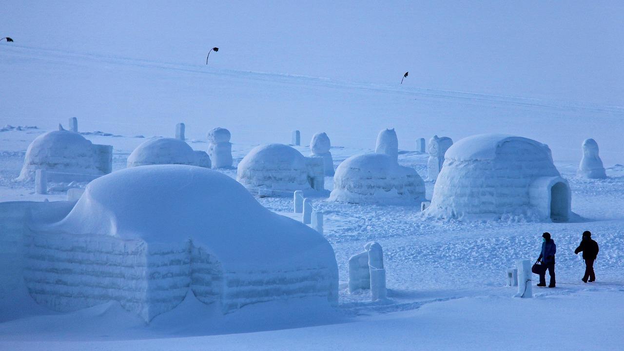 Delle igloo in mezzo alla neve