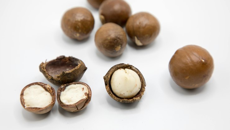 Noci di macadamia, frutta secca dalle infinite proprietà - iFood.it - 2241211