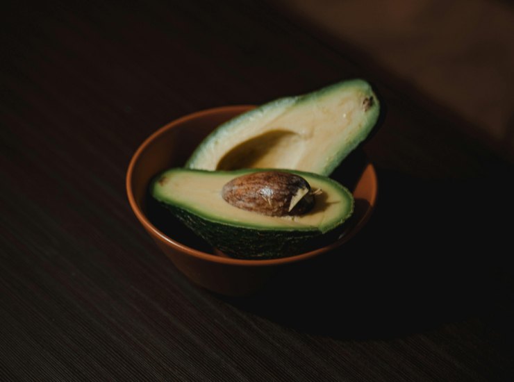 avocado 