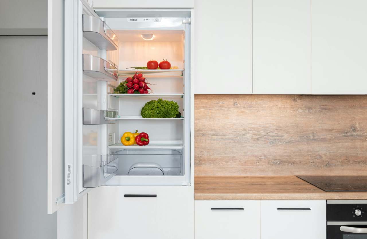 frigo alimenti