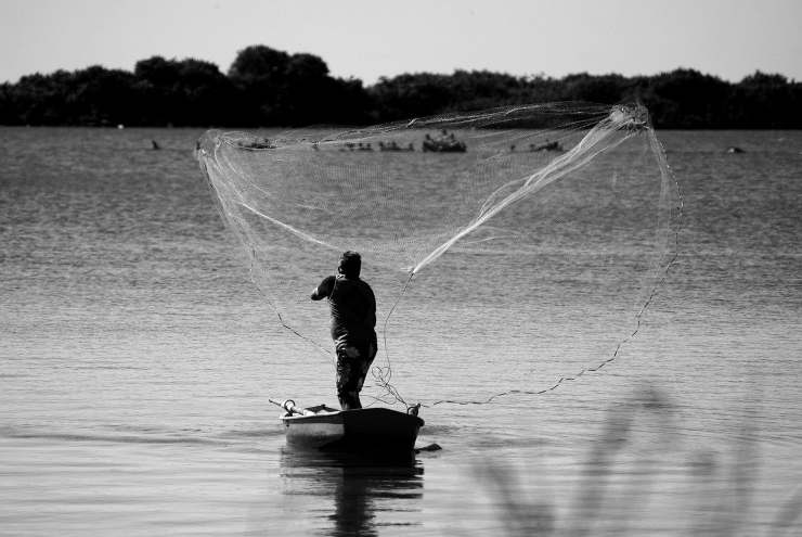 pesca sostenibile